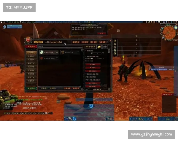 魔兽世界插件:副本全图视角中心